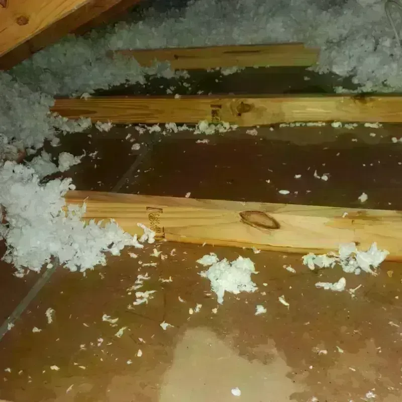 Attic Water Damage in Huntley, IL